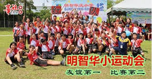 综合体育数据可视化解读 图表呈现赛事变化