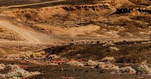 若昂-佩德罗选巴西五人队：大罗、内马尔、卡塞米罗在列